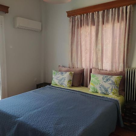 Helen'S Downtown Apartment Ioannina Buitenkant foto